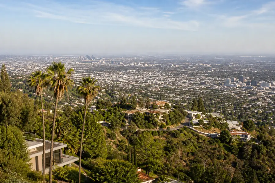 Los Angeles city view with palm trees